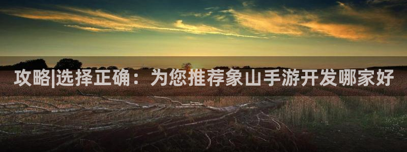 摩根娱乐是正规公司吗：攻略|选择正确：为您推荐象山手游开发哪
