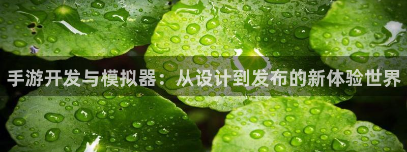 摩根娱乐app下载安装苹果：手游开发与模拟器：从设计到发布的