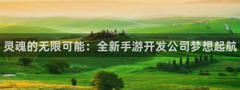摩根娱乐官网入口网站下载：灵魂的无限可能：全新手游开发公司梦