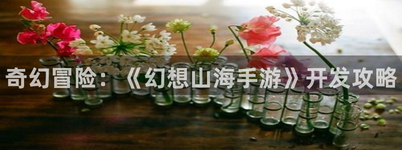 摩根娱乐网址：奇幻冒险：《幻想山海手游》开发攻略