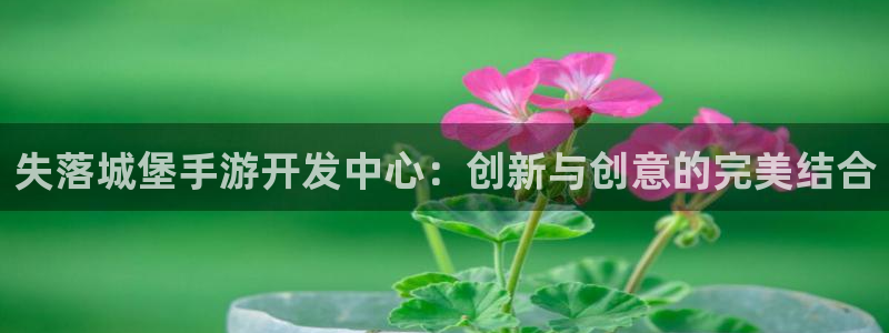 摩根娱乐网址：失落城堡手游开发中心：创新与创意的完美结合