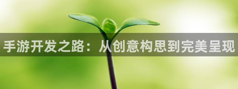 摩根娱乐娱乐官网入口网址：手游开发之路：从创意构思到完美呈现