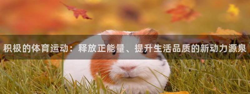米兰体育网页版登录