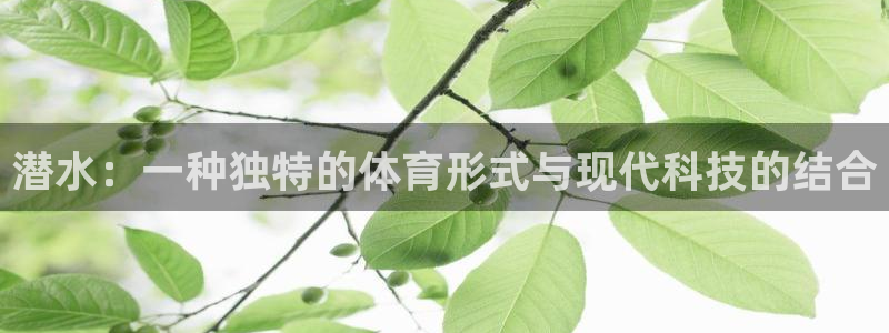 米兰体育官方下载入口