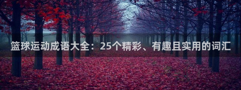 米兰体育app