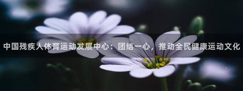 米兰体育平台