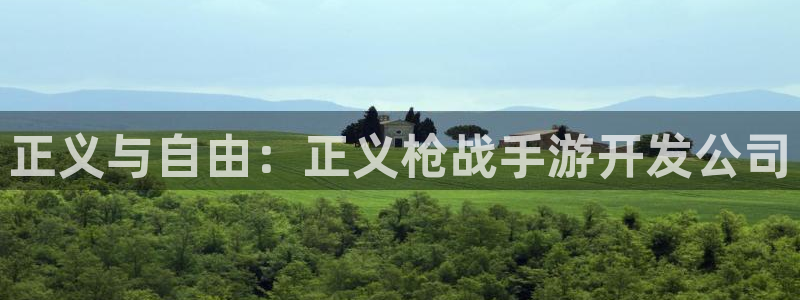 摩根娱乐这个平台怎么样啊赚钱吗：正义与自由：正义枪战手游开发