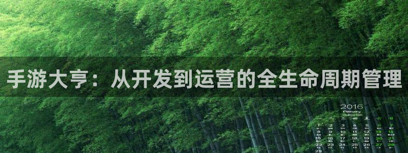 摩根娱乐登陆：手游大亨：从开发到运营的全生命周期管理